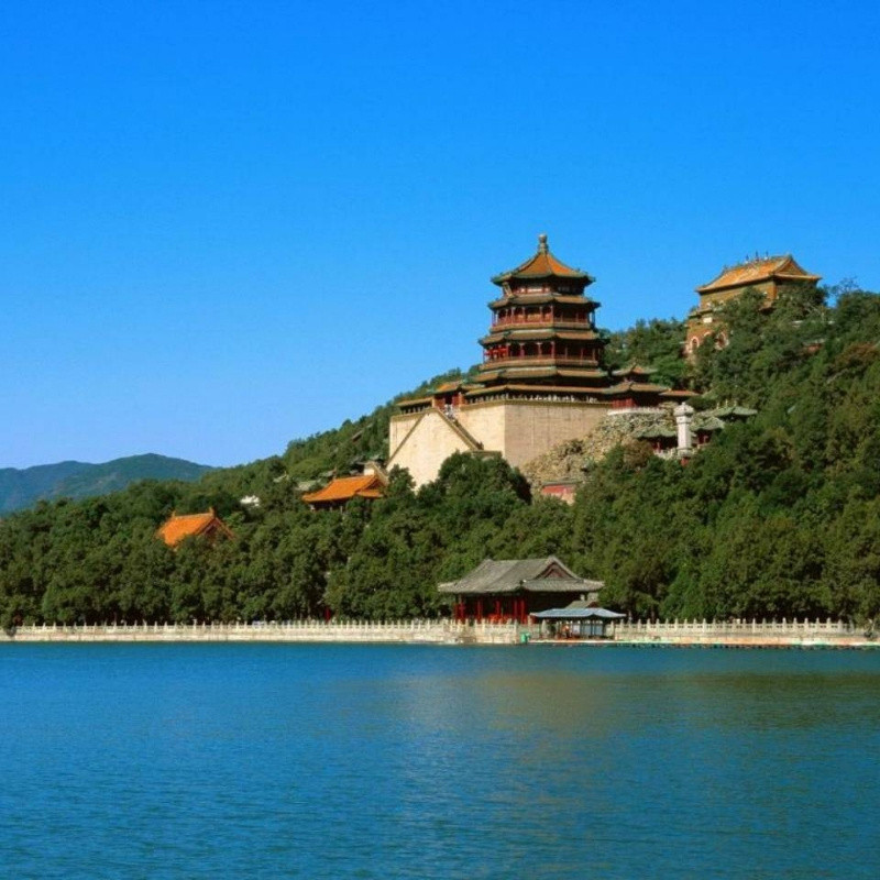 朴素向前