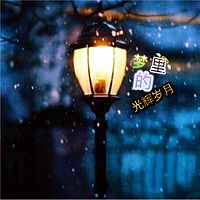 梦里的光辉岁月