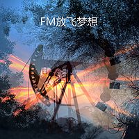 FM放飞梦想