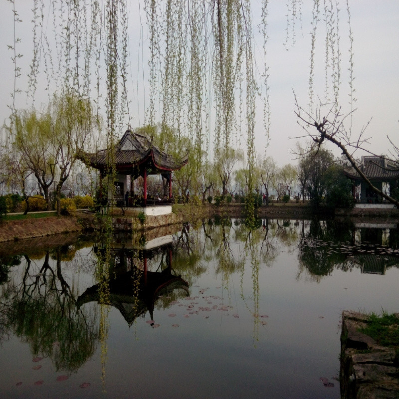 顾翮宇
