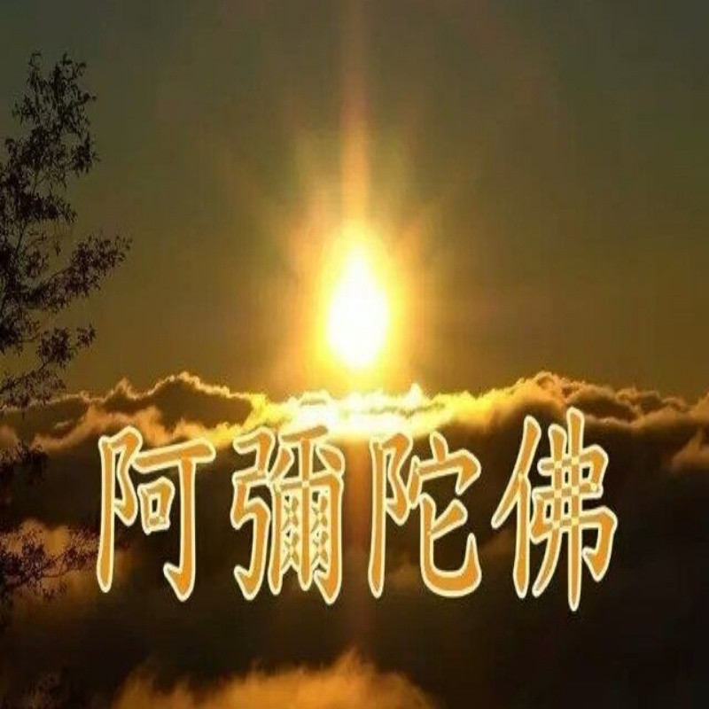 老中医学院