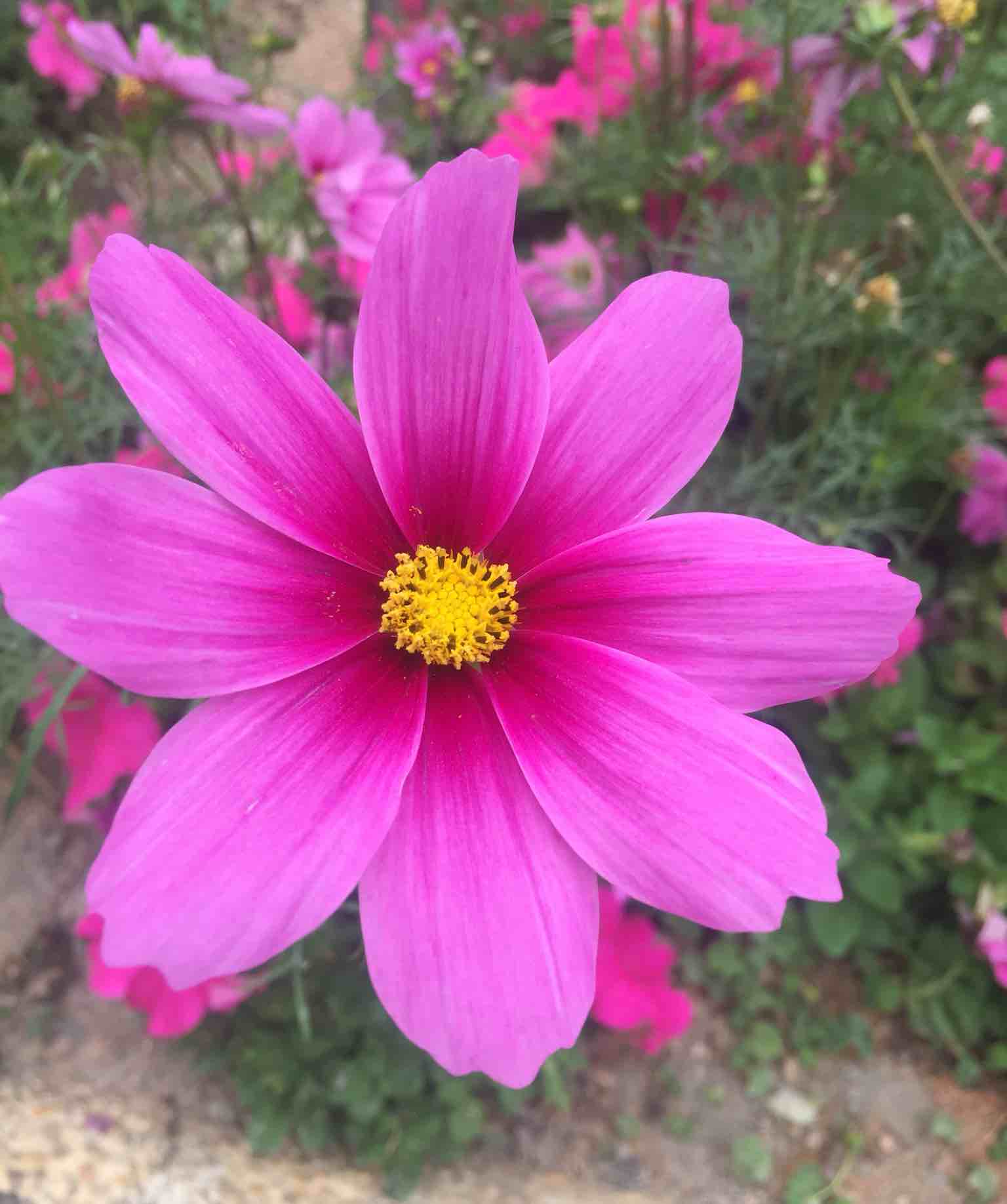 春暖