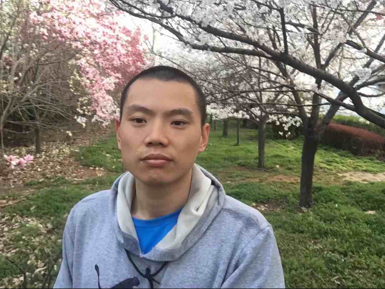 八爪鱼