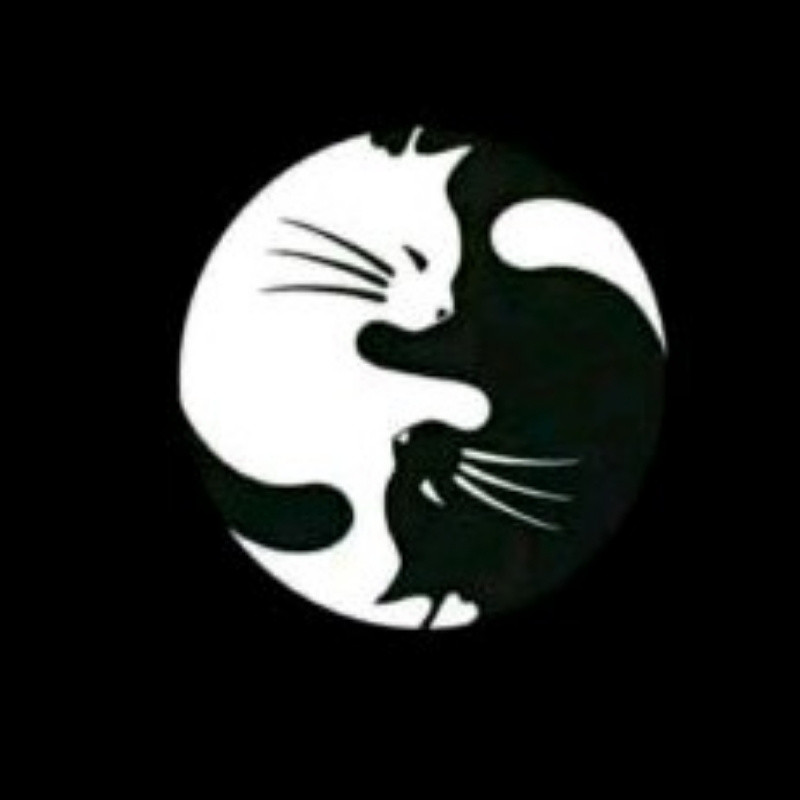 安之以幸