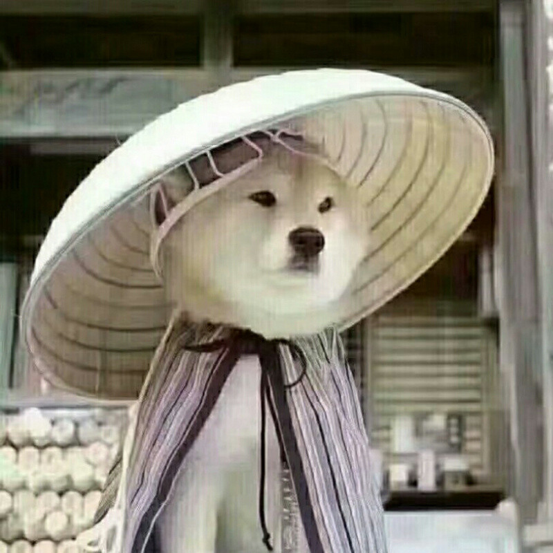 大概也许可能