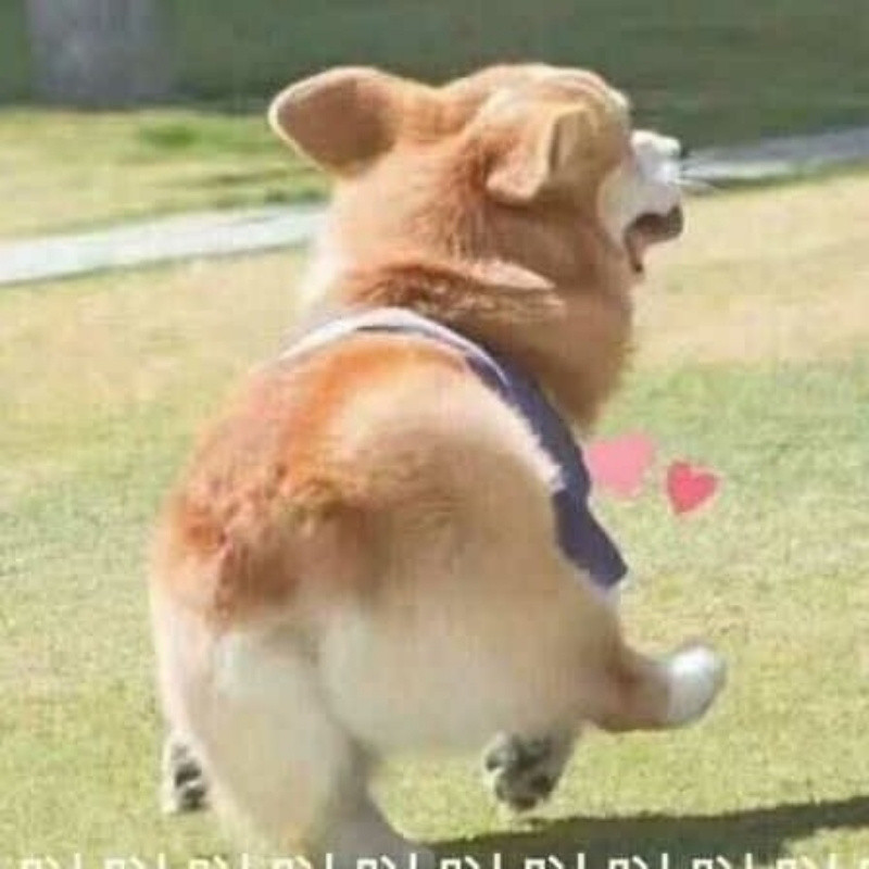 三三老师