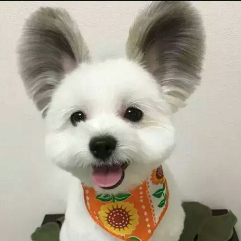 泉城-水叮咚