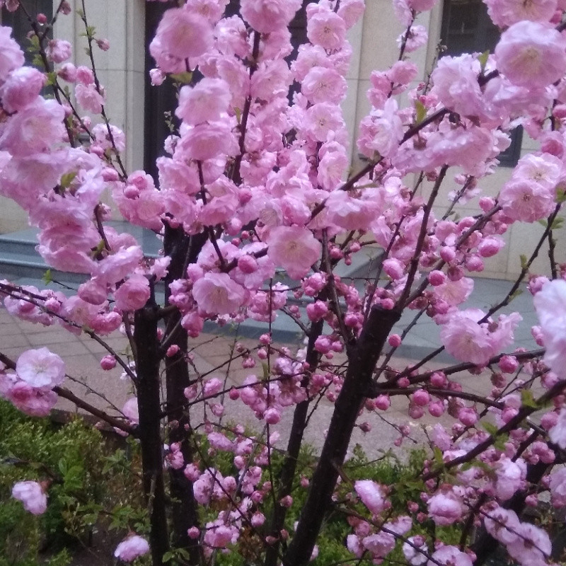 起个名真难