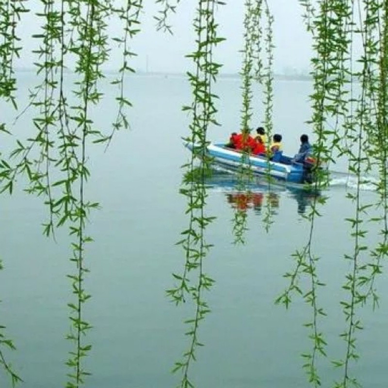 海岛人家