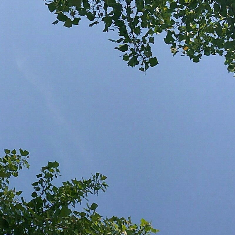 紫薇星