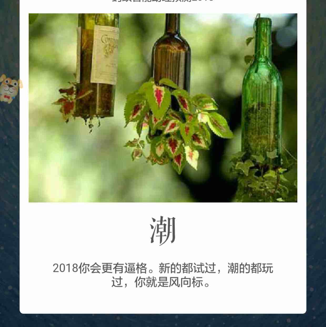 zhuangzj