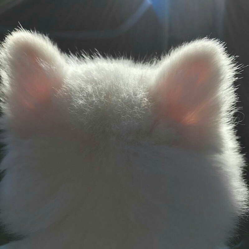 咕噜