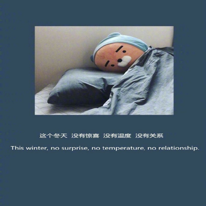 白衬衫老胡同