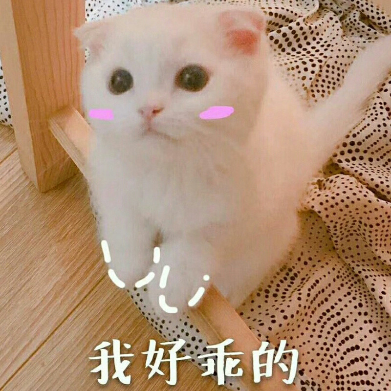 向北