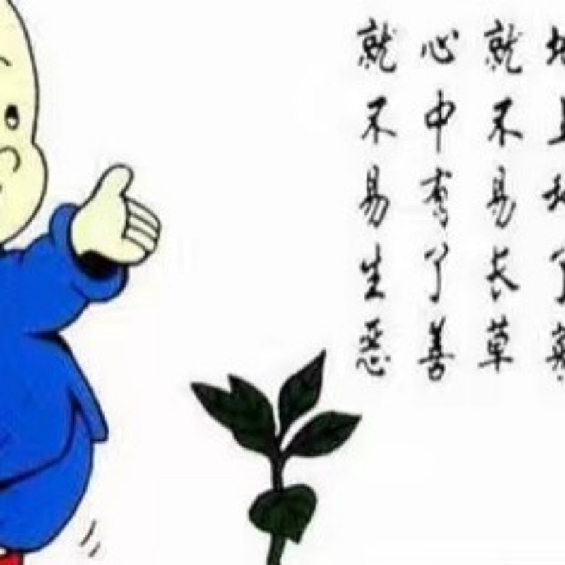 闲里偷懒