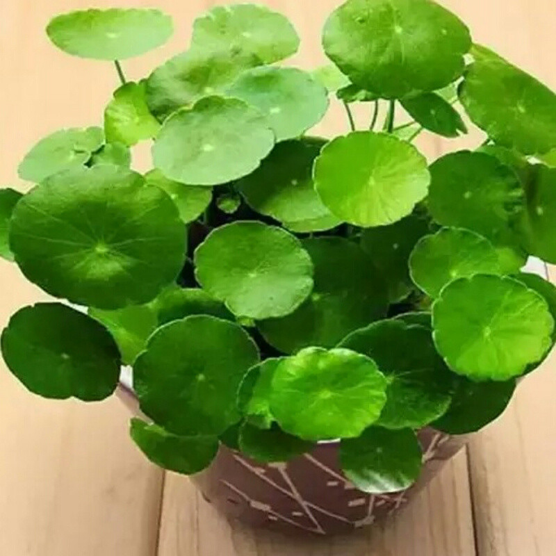 つ沉默つ