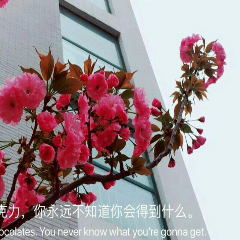 情景在新春
