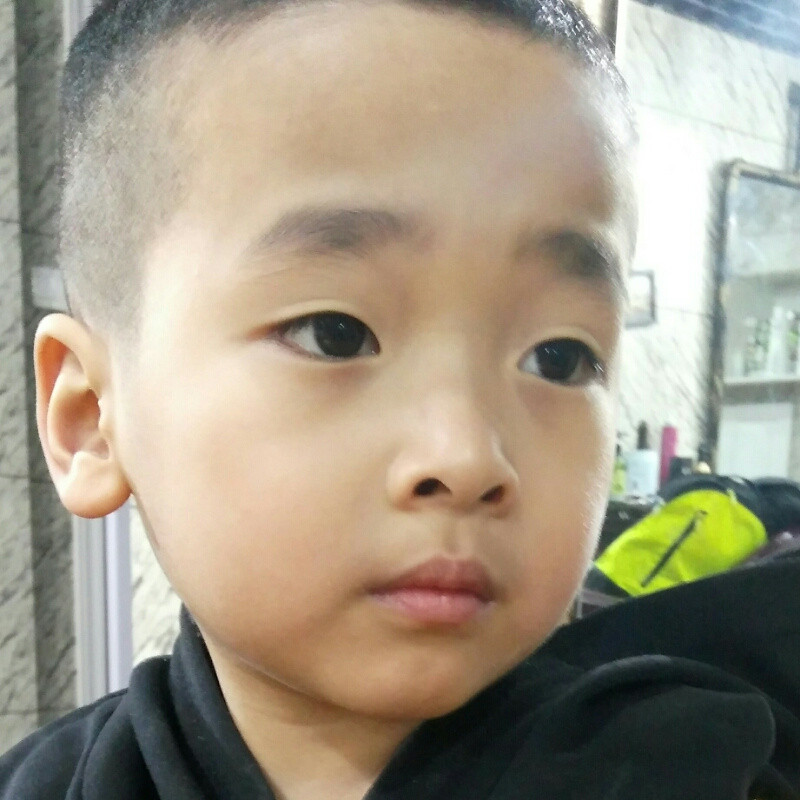 新一