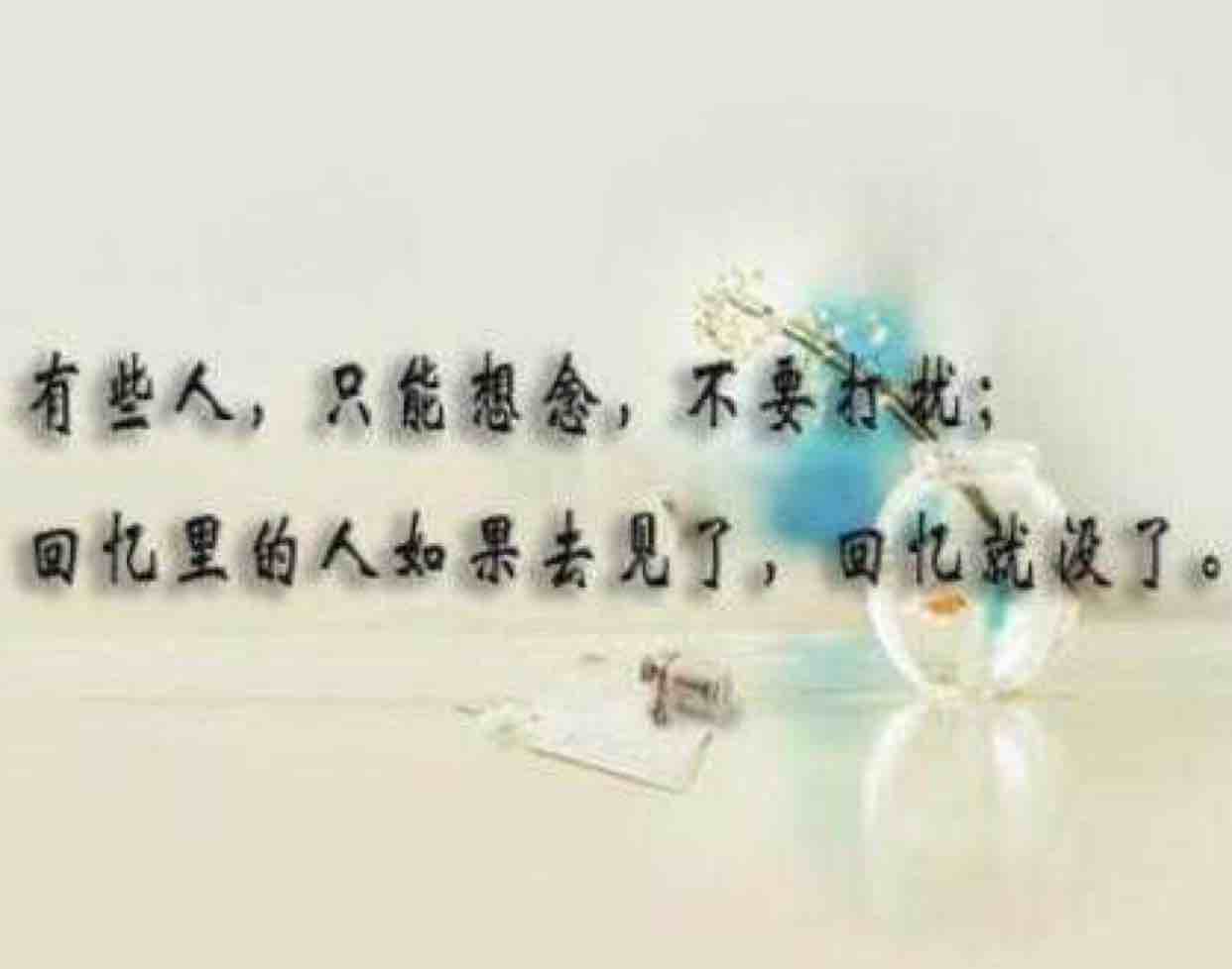 爱笑的小小马