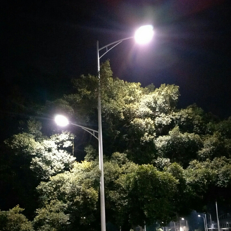 我只是个爱你的疯子