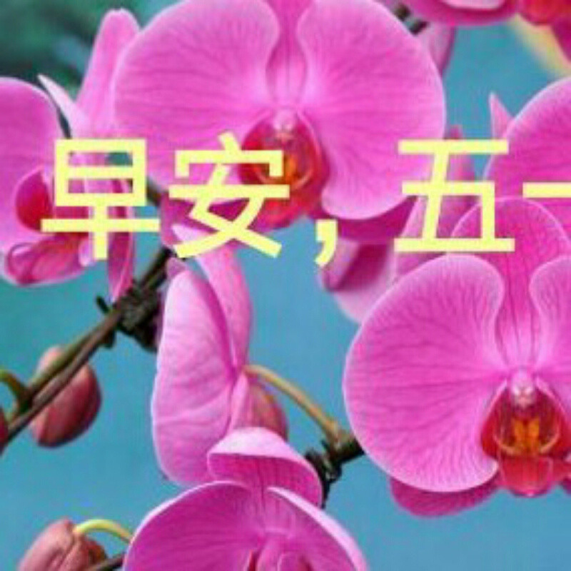 功J