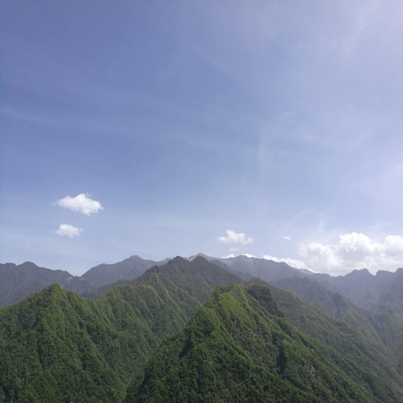 Hiahia