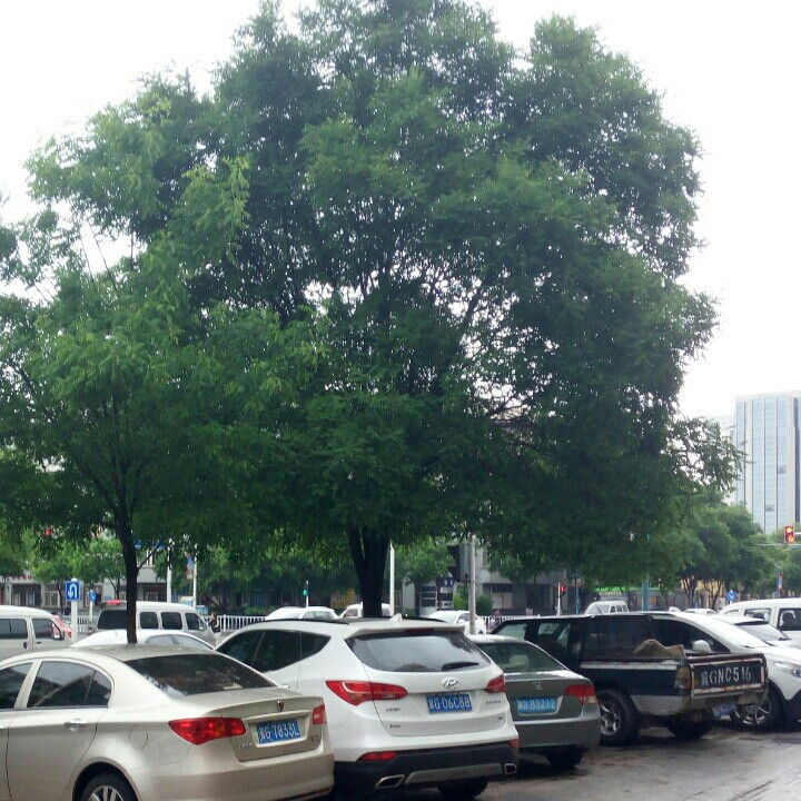 爱听书