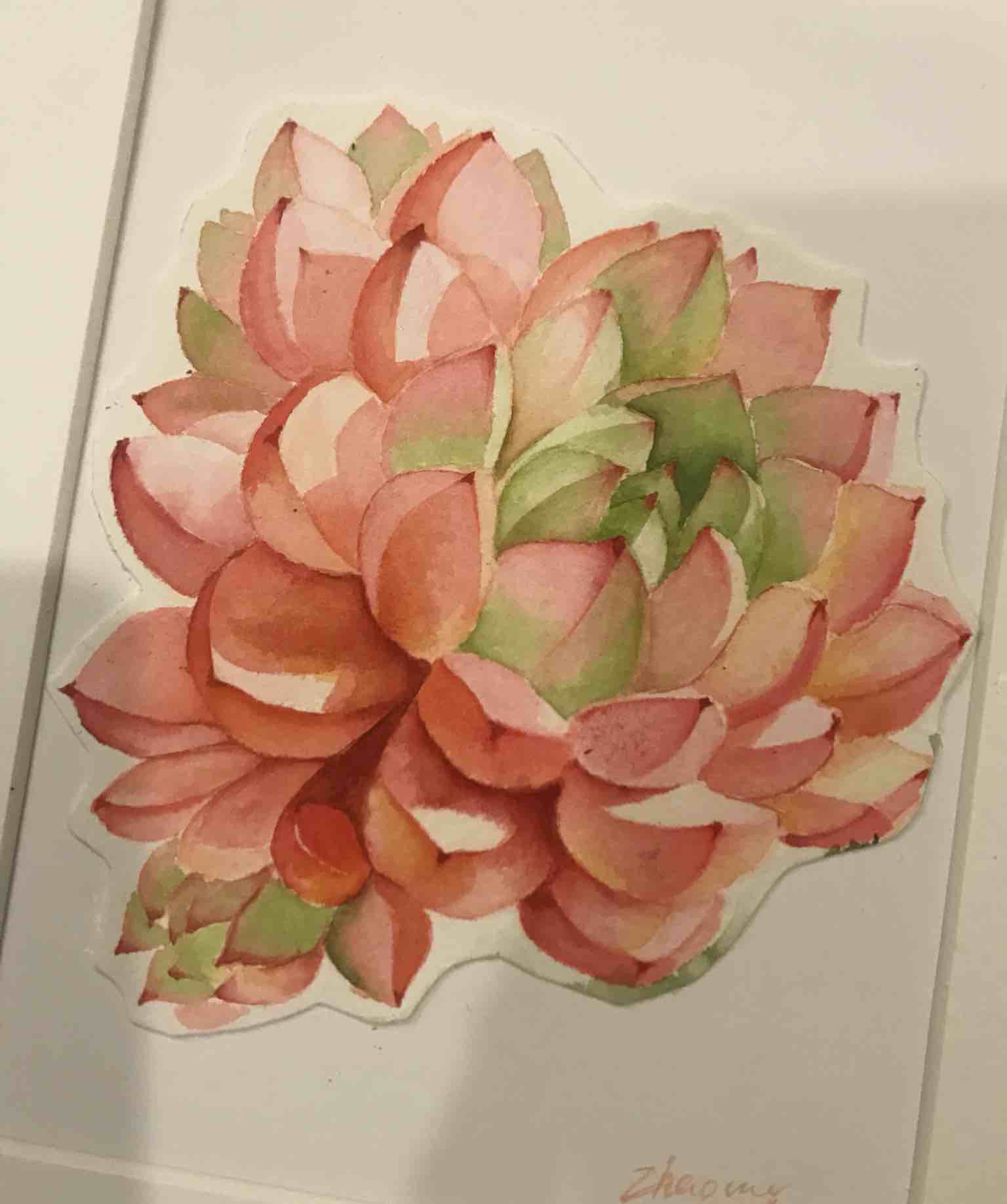 赵慰蔚