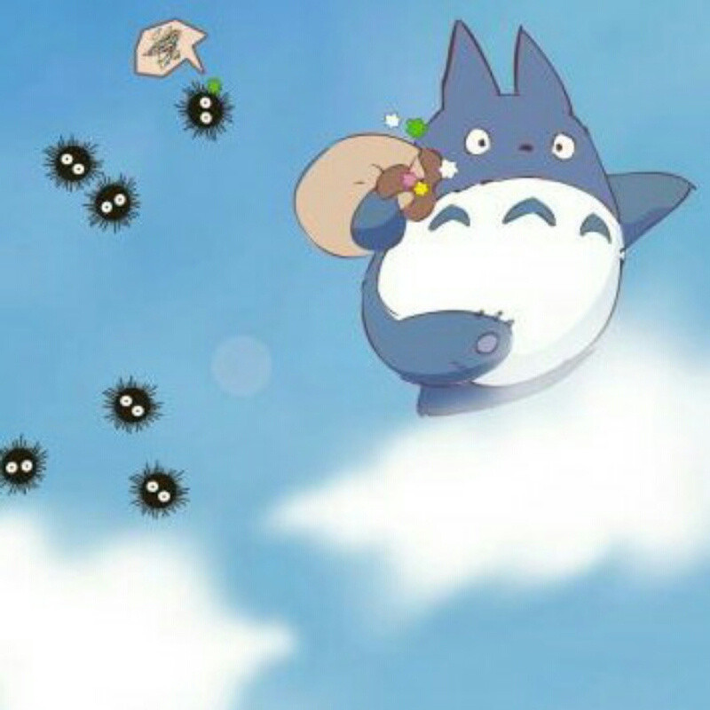朽木浅浅