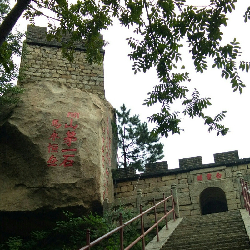 自由飞翔