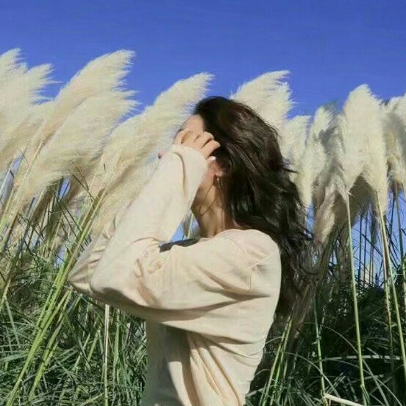 清者自清