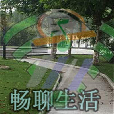 畅聊生活