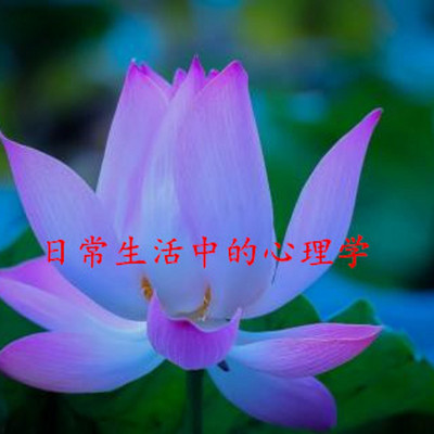 日常生活中的心理学