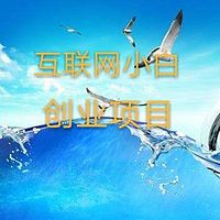 互联网小白创业项目