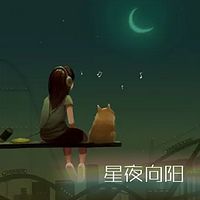 星夜向阳