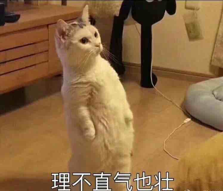 我名字中有Y.