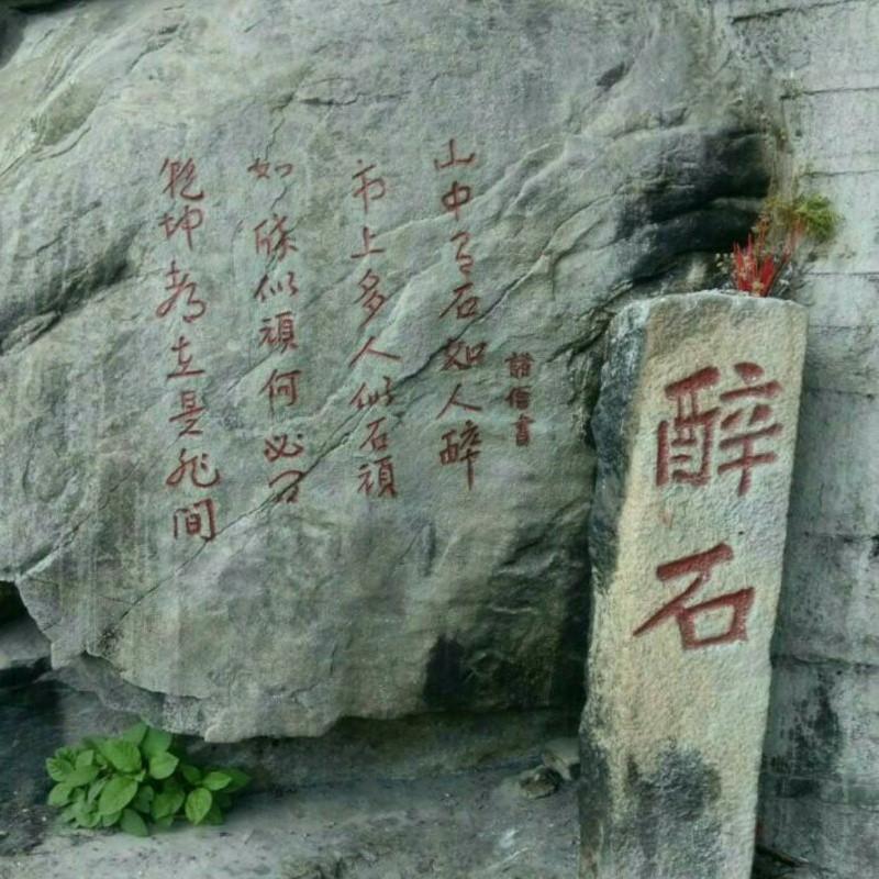 孤独丑小鸭