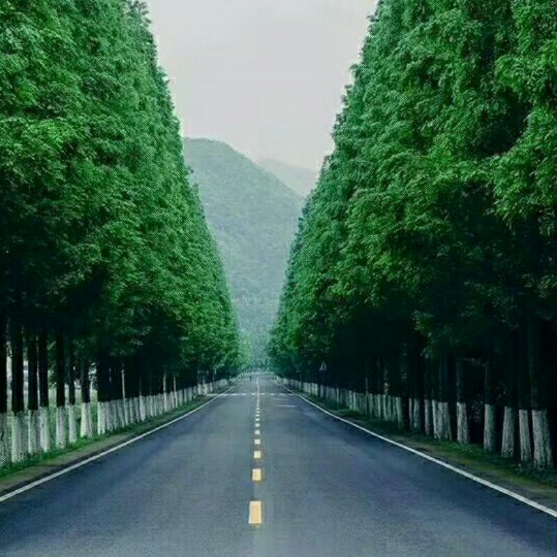 W北风的吹