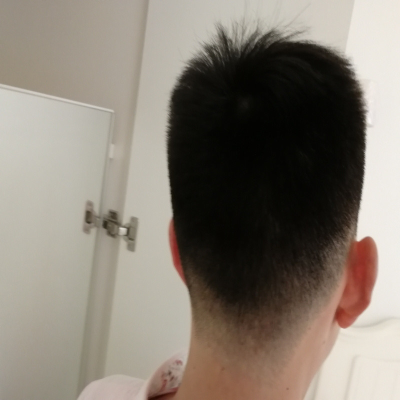 会游泳的鱼