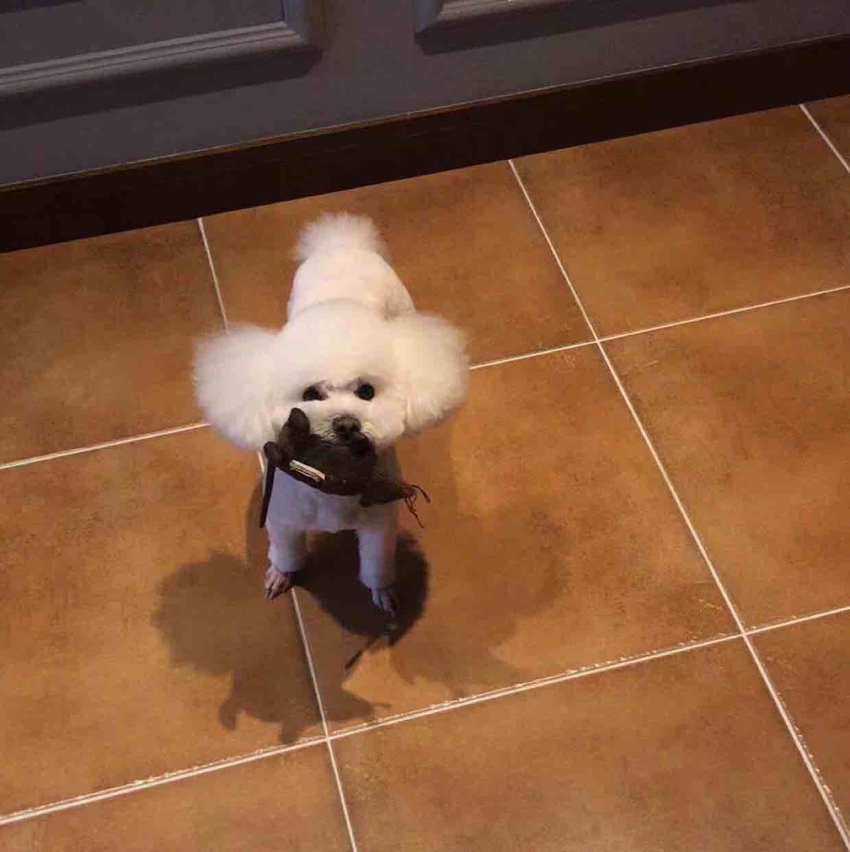 拈花微笑