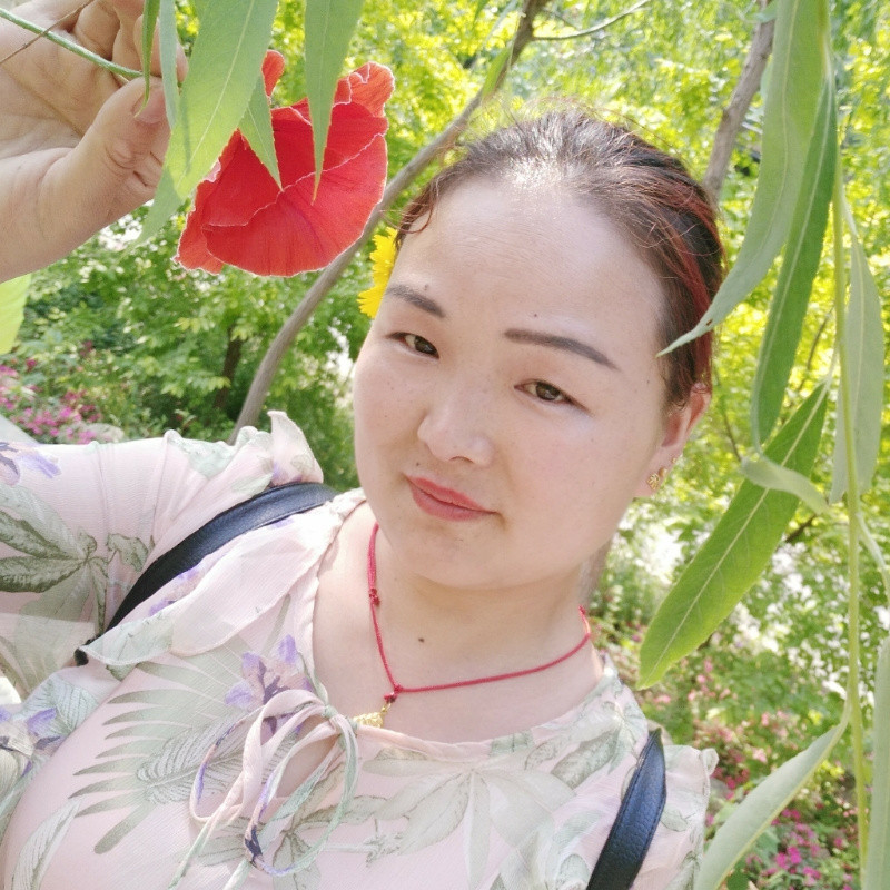 冰封爱
