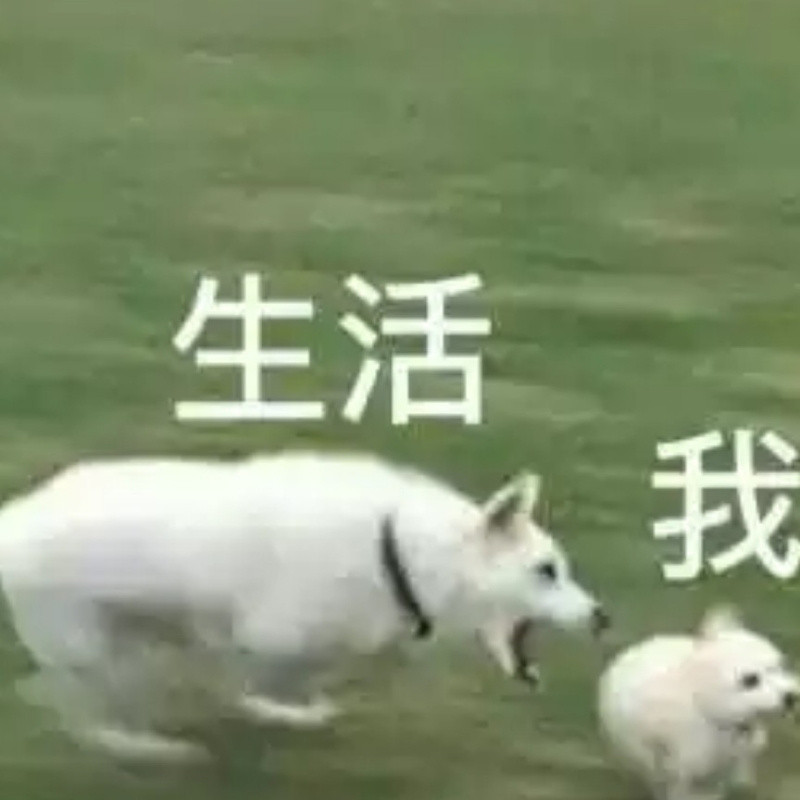 兰兰