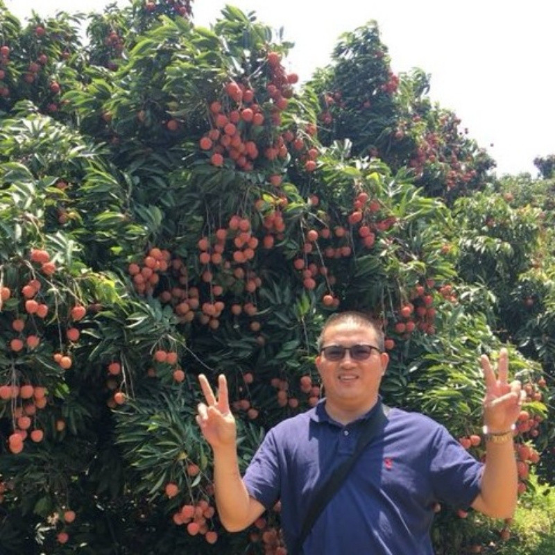 邦