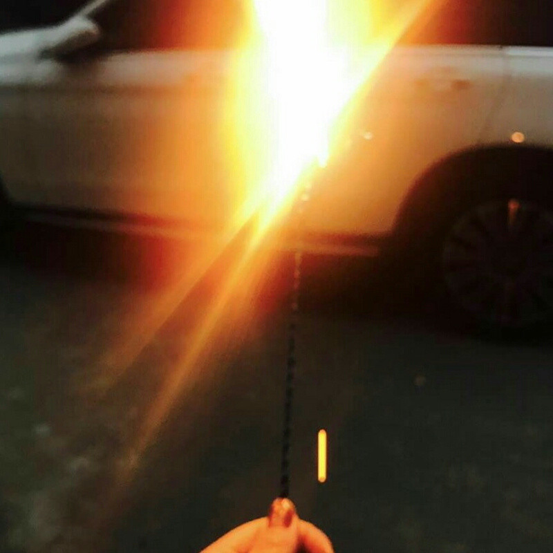 十五的月饼