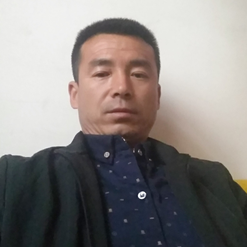 殷枫人