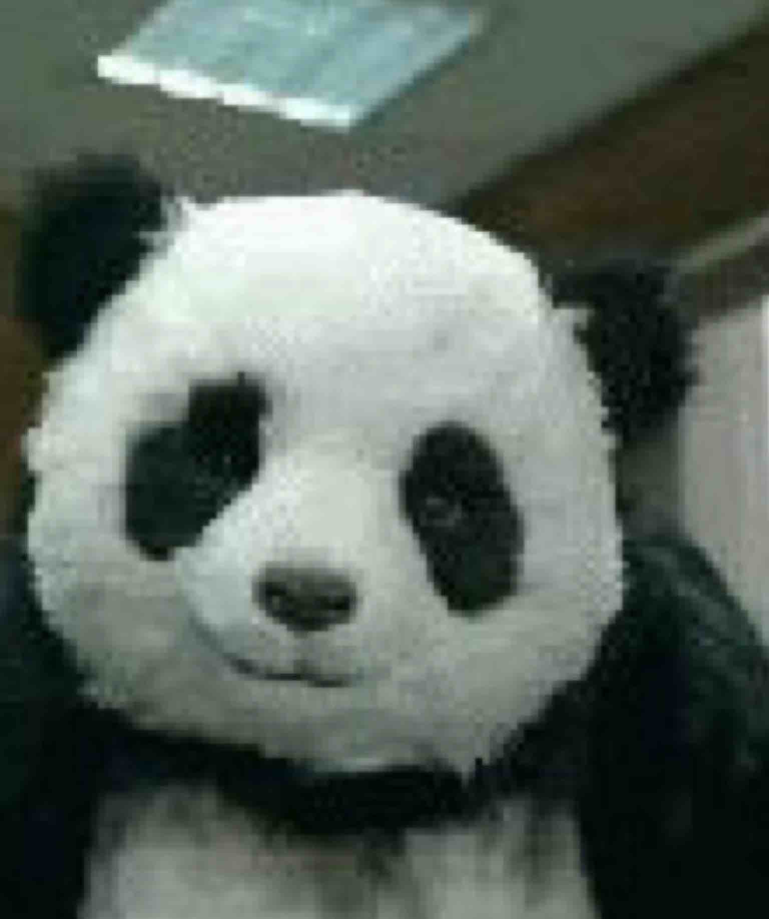 虚与无