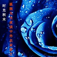 时光积木·Mr fox夜读中外名家散文