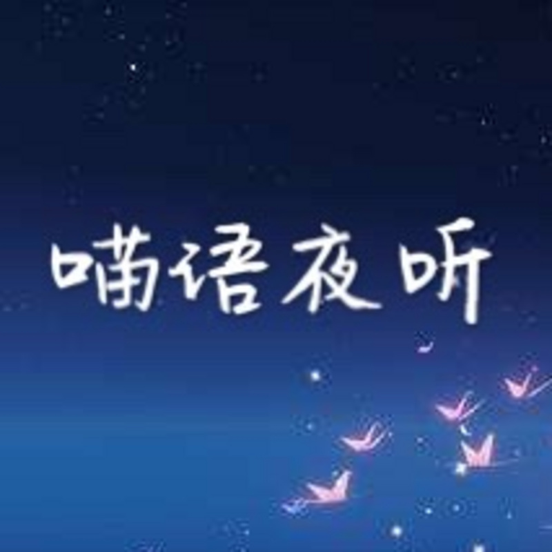 喵语夜听