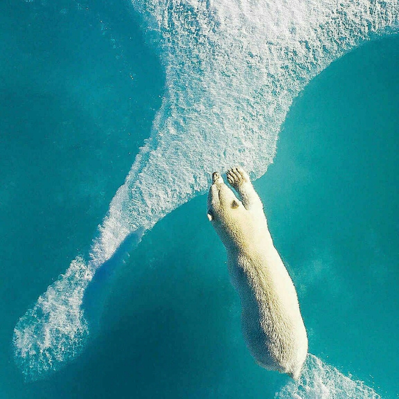 长荡湖