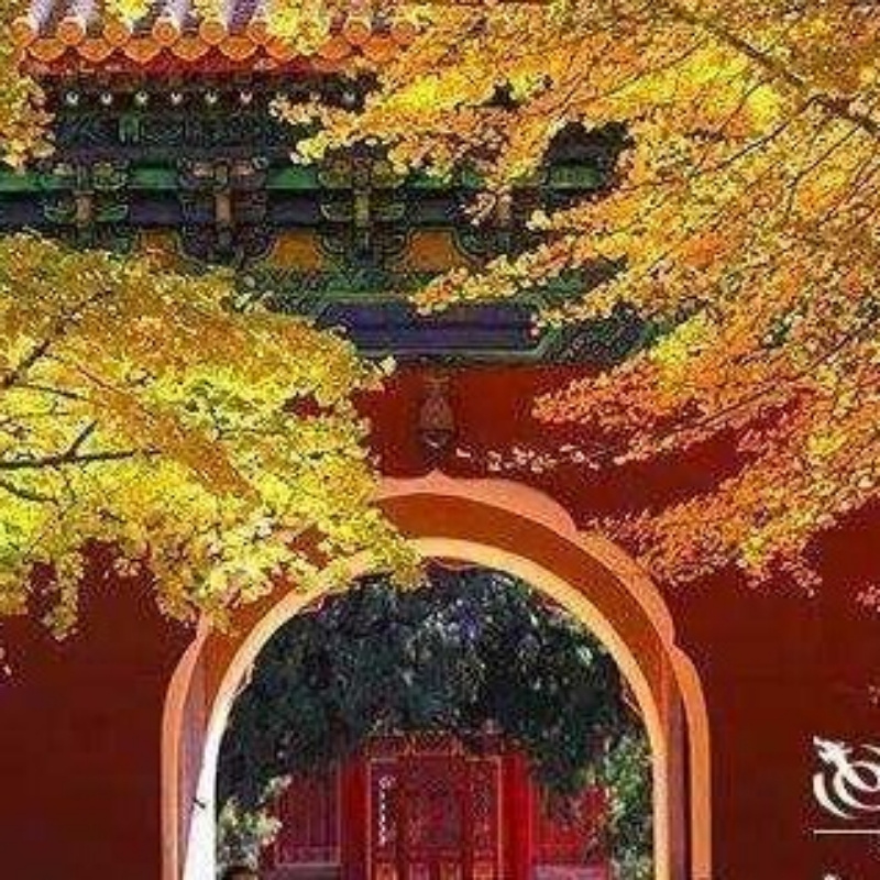 真钢铁侠